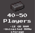 12GB Ram (40-50 players)