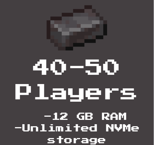 12GB Ram (40-50 players)