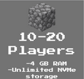4GB Ram (10-20 players)