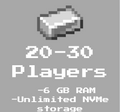 6GB Ram (20-30 players)