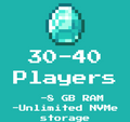 8GB Ram (30-40 players)